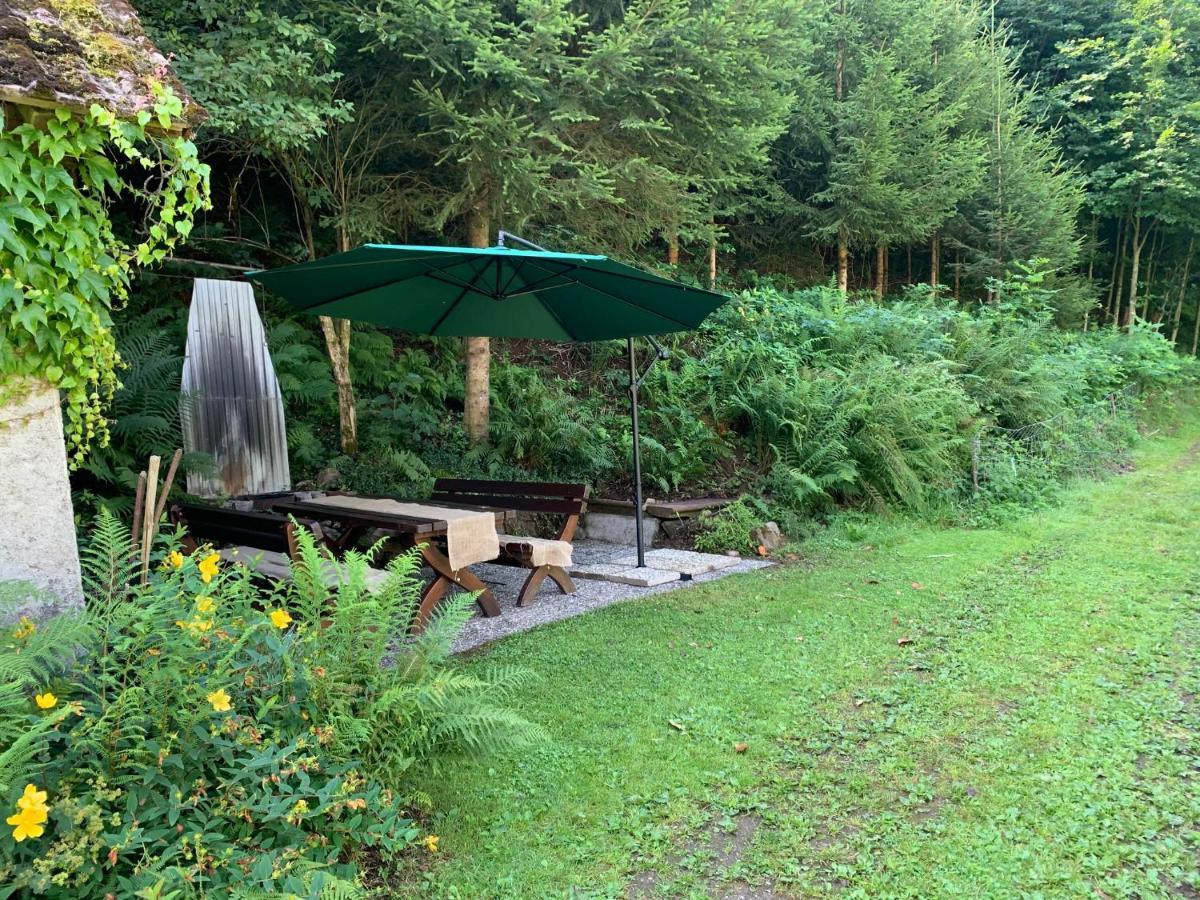 Hoernleberg - Stubenhof, Black Forest Simonswald Eksteriør billede